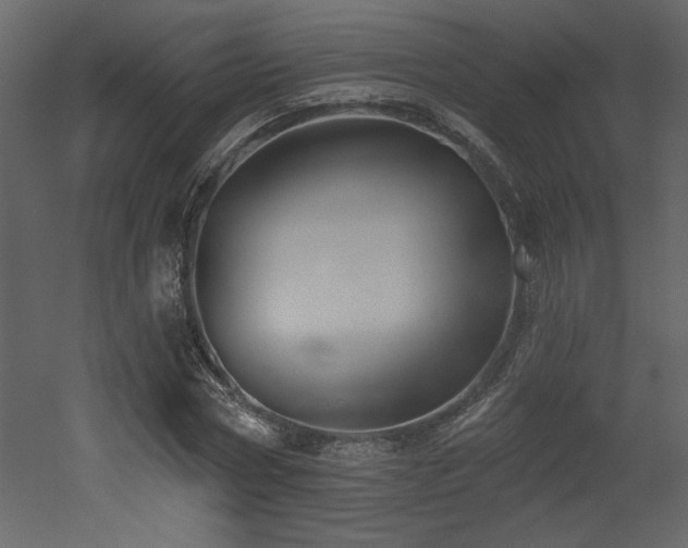 X0000052980778200507081122