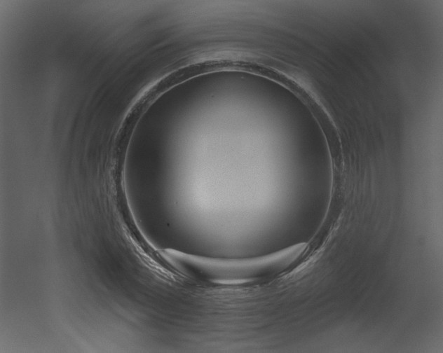 X0000052980783200507081121