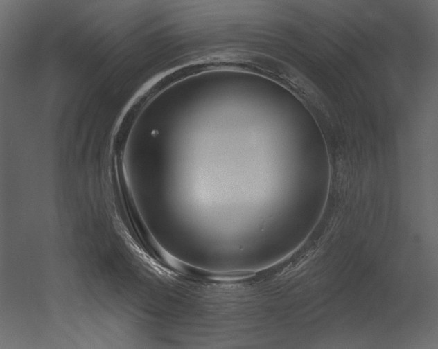 X0000052980784200507081121