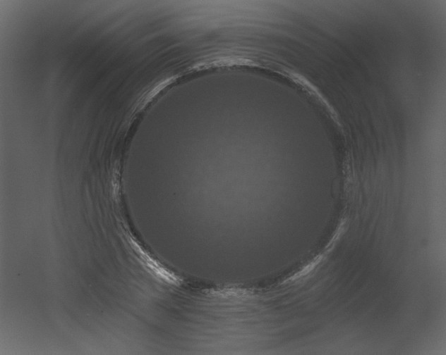 X0000052980785200507081121
