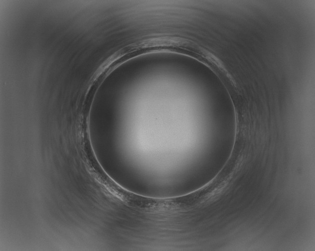 X0000052980786200507081121