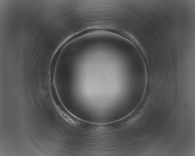 X0000052980787200507081121
