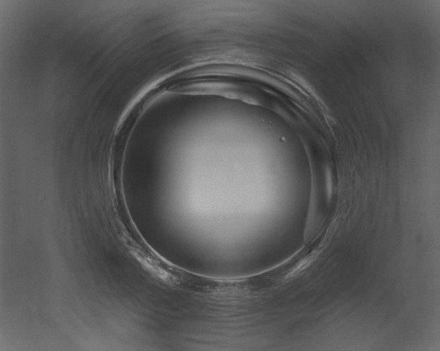 X0000052980788200507081121