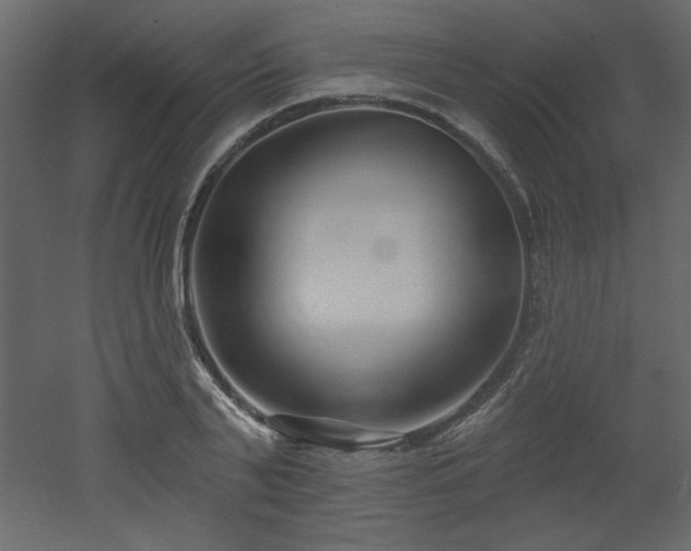 X0000052980791200507081121