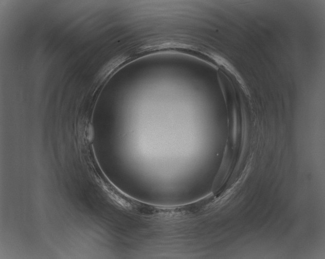 X0000052980793200507081121