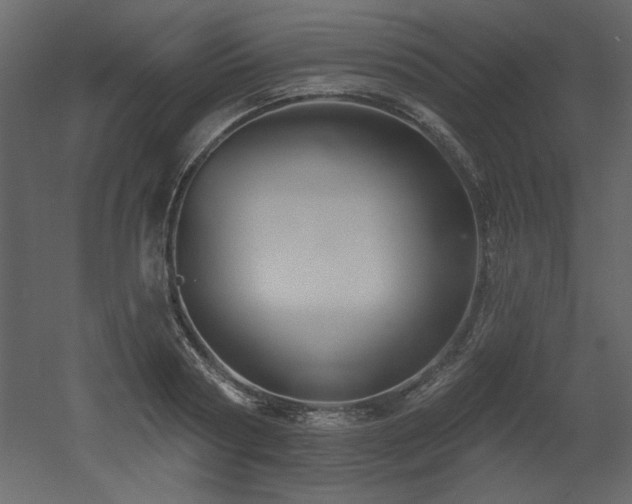 X0000052980794200507081121
