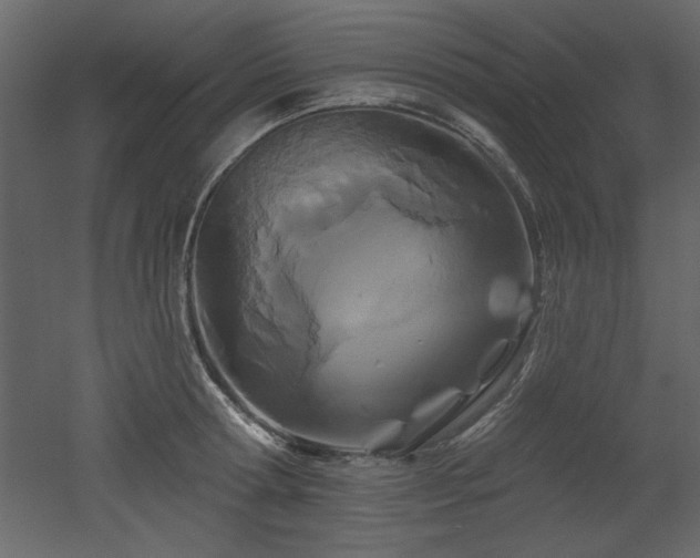 X0000052980802200507081121