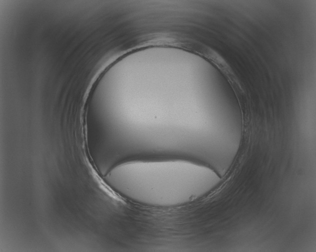 X0000052980808200507081121