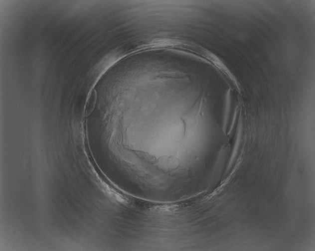 X0000052980810200507081121