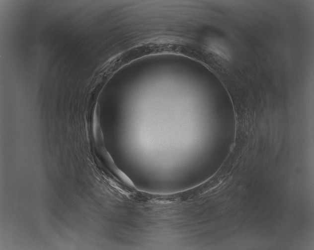 X0000052980821200507081120
