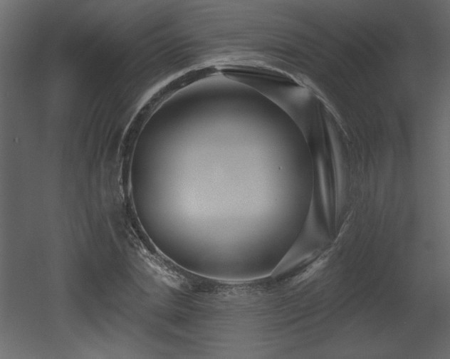 X0000052980830200507081120
