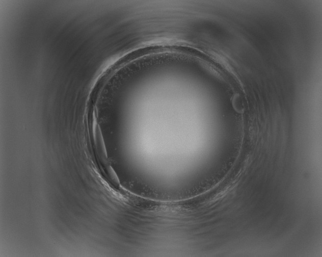 X0000052980831200507081120