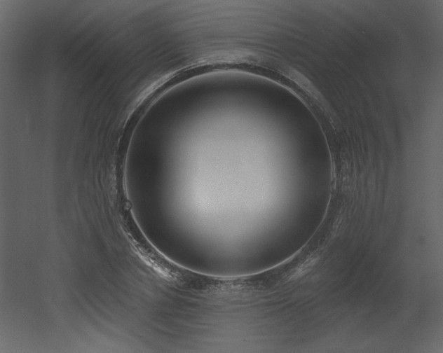 X0000052980834200507081120