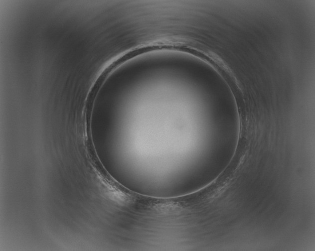 X0000052980838200507081120