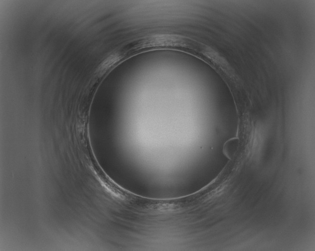X0000052980841200507081120