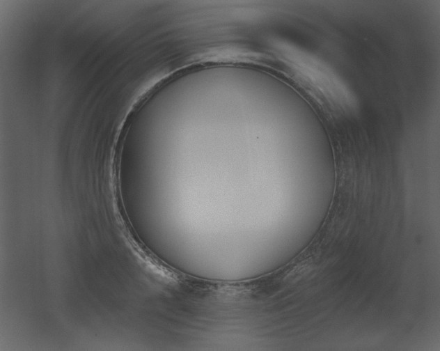 X0000052980848200507081121