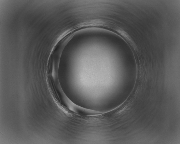 X0000052980850200507081121