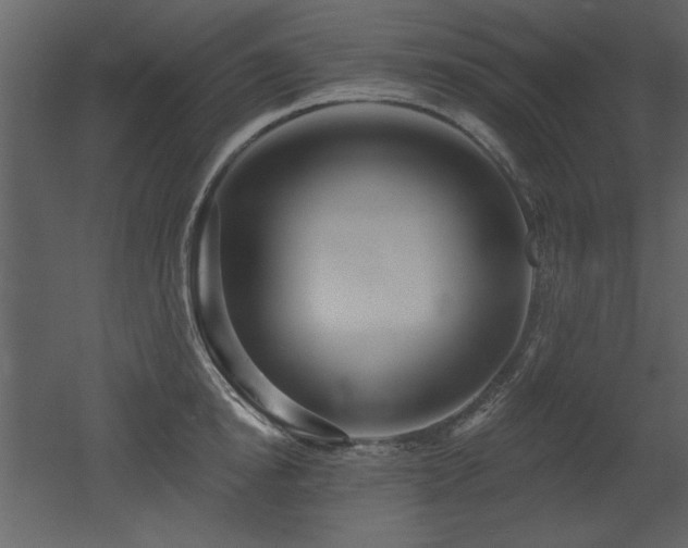 X0000052980854200507081121