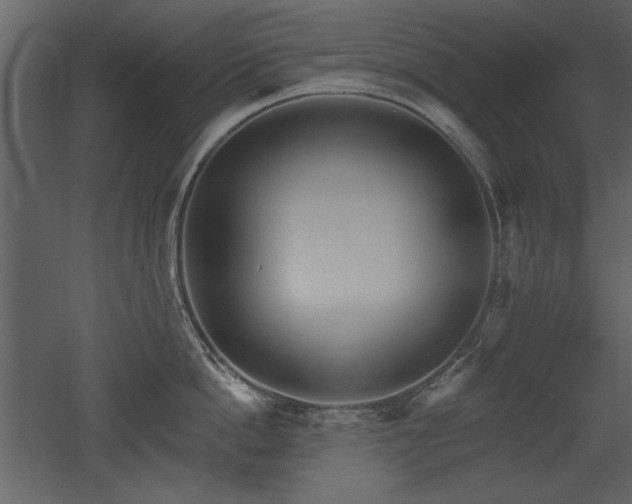 X0000052980862200507081121