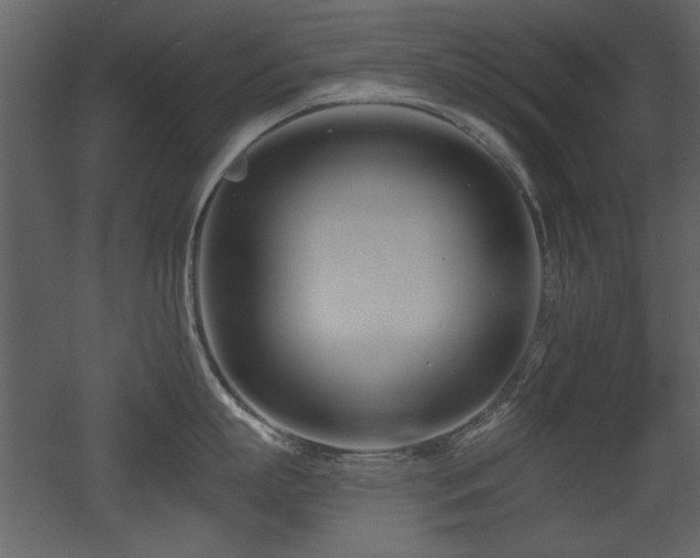 X0000052980863200507081121