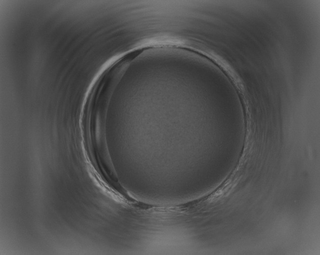 X0000052980864200507081121