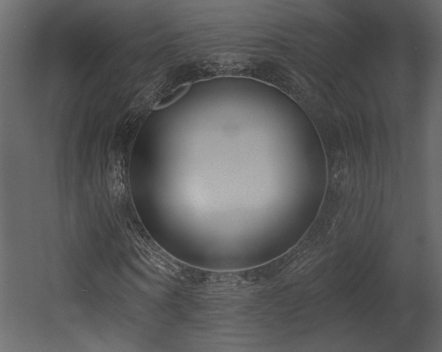 X0000052980866200507081120