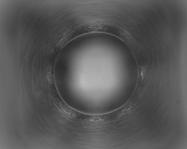 X0000052980867200507081120