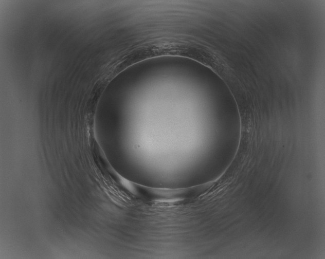 X0000052980868200507081120