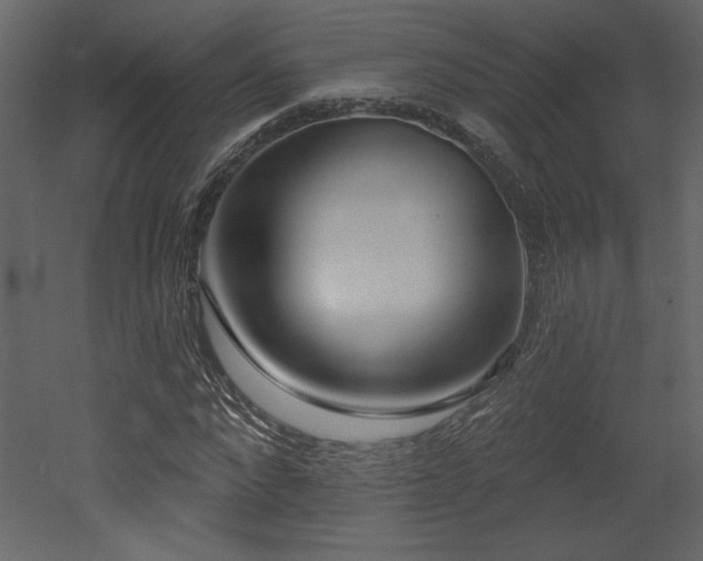 X0000052980872200507081120