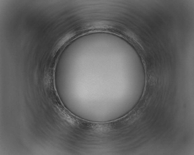 X0000052980874200507081120