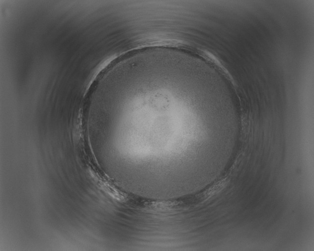 X0000052980875200507081120