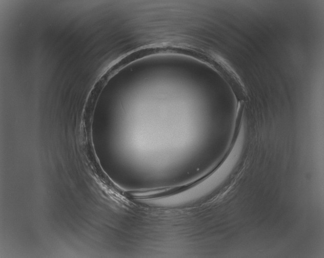 X0000052980876200507081120
