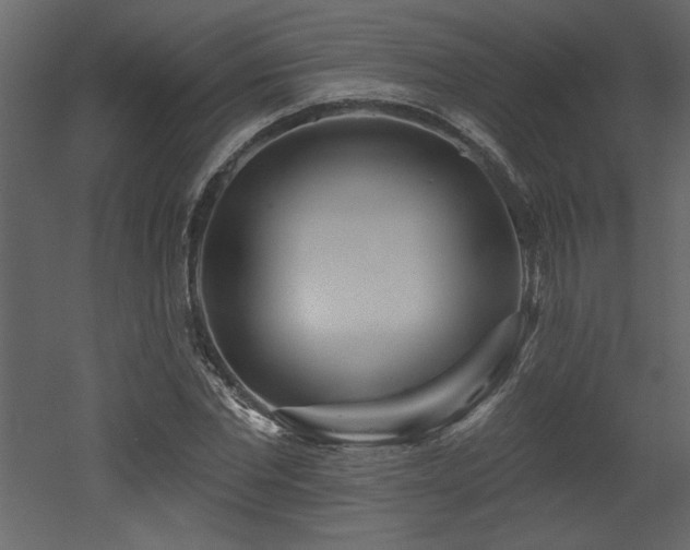 X0000052980877200507081120