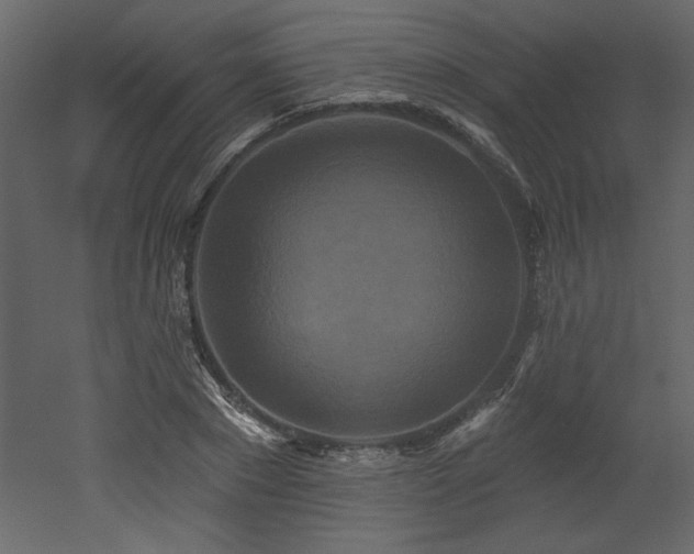 X0000052980881200507081120