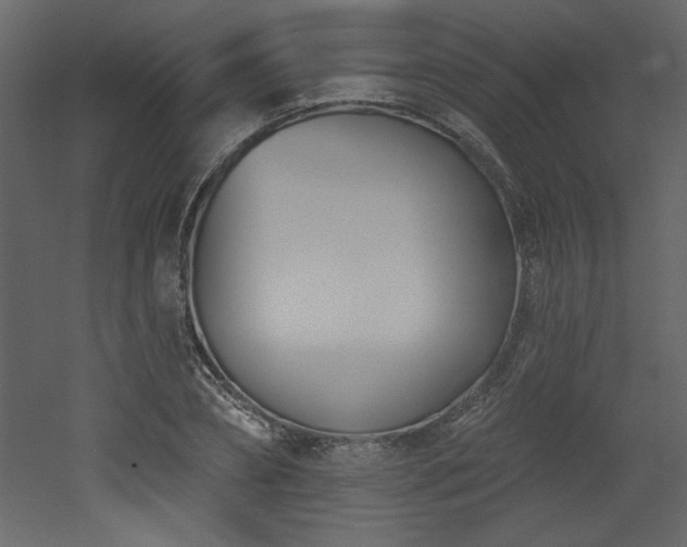 X0000052980882200507081120