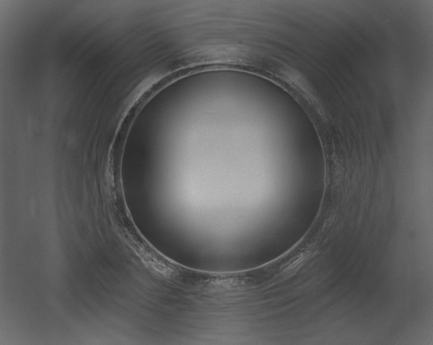 X0000052980883200507081120