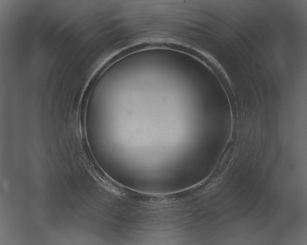 X0000052980887200507081120