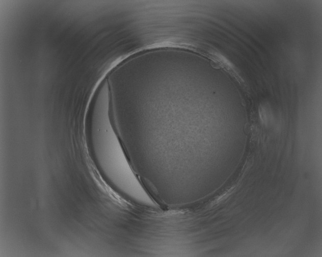 X0000052980892200507081120