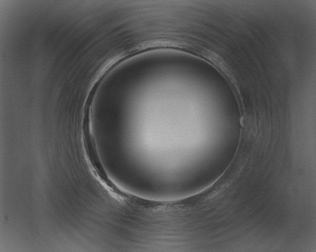 X0000052980898200507081119