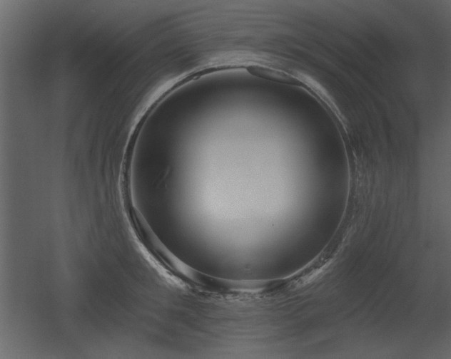 X0000052980901200507081119