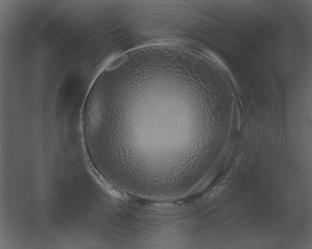X0000052980907200507081119
