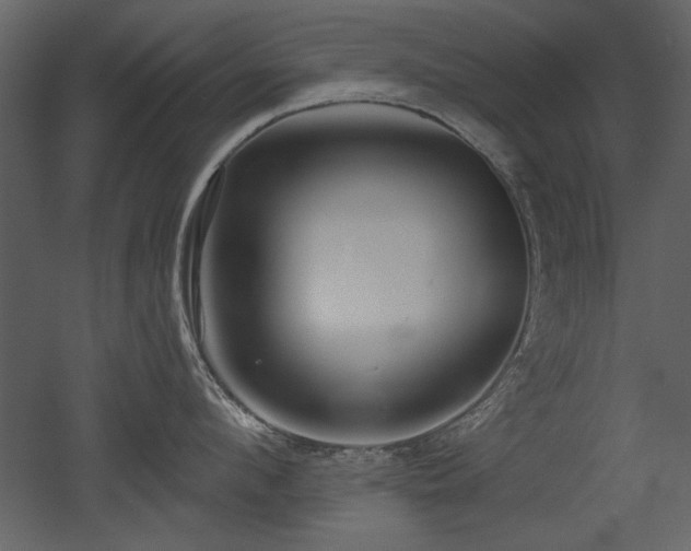 X0000052980912200507081119