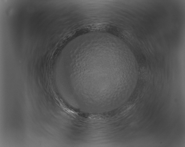 X0000052980913200507081118