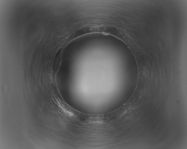 X0000052980914200507081118