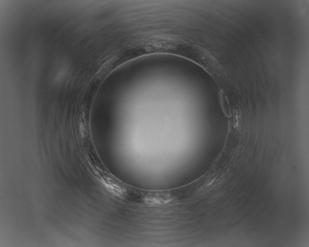 X0000052980915200507081118
