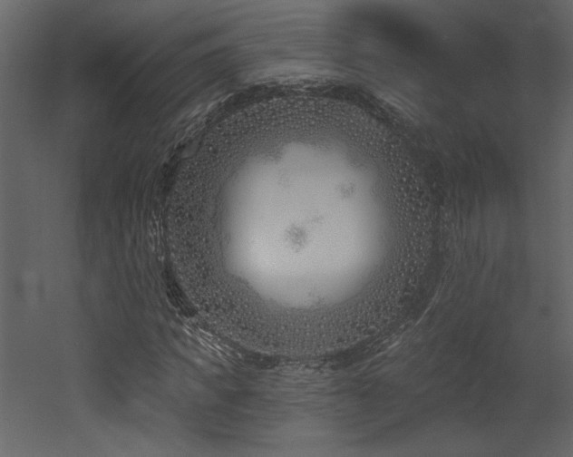 X0000052980917200507081118