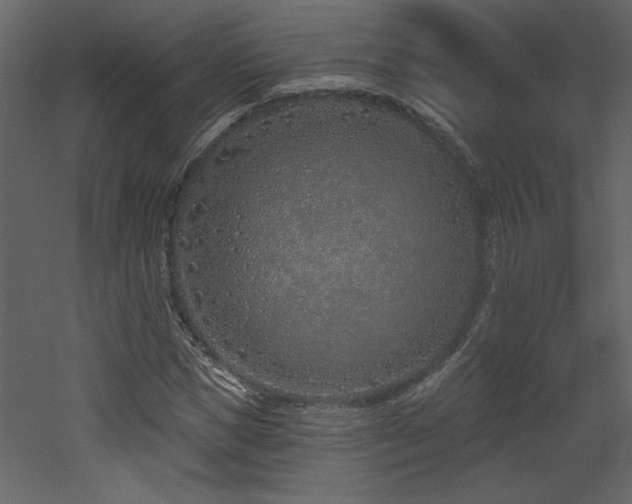 X0000052980921200507081119