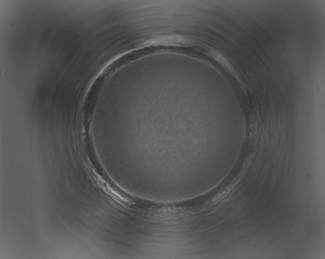 X0000052980923200507081119