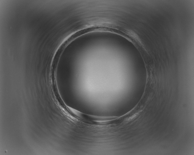 X0000052980924200507081119