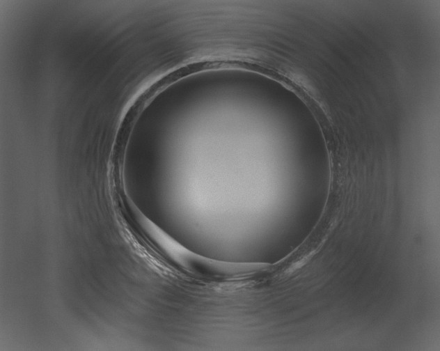 X0000052980928200507081119